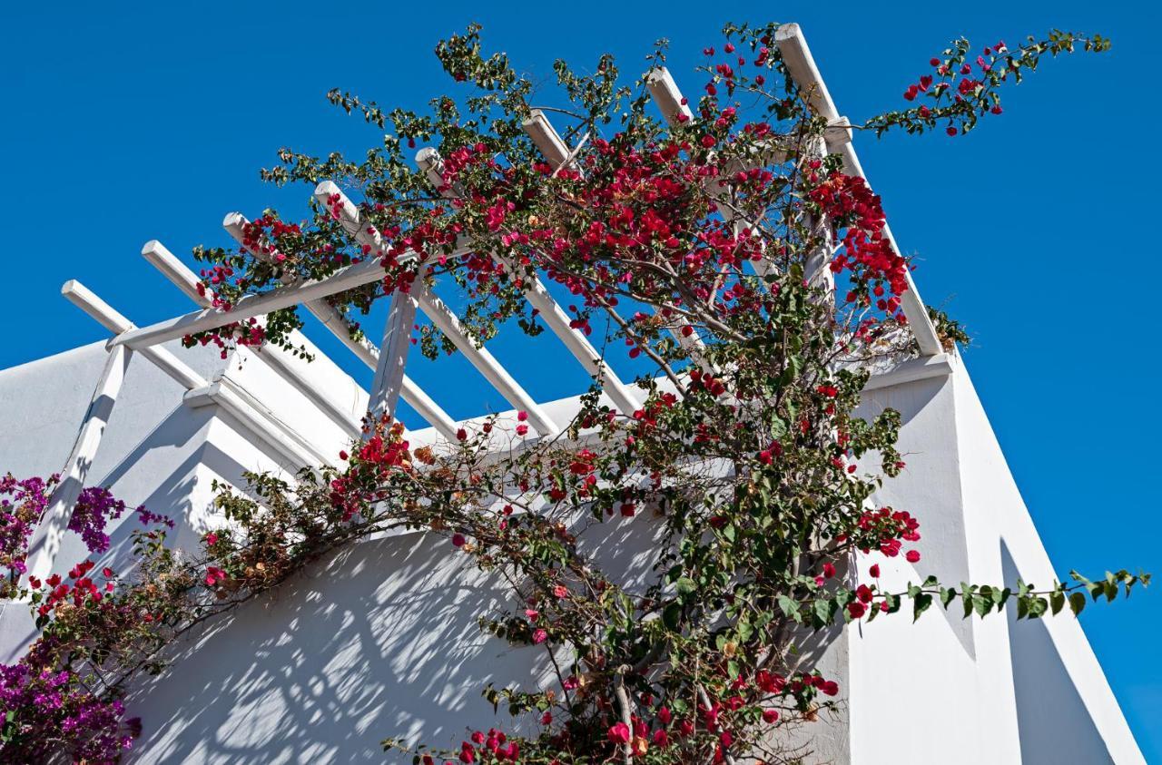 Casa Cozy Villa Mykonos Town Kültér fotó